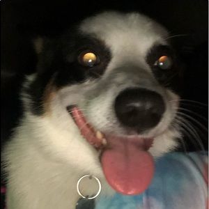 Meet your Posher, Janie